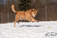 Highslide JS