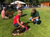 Jury bei der Arbeit