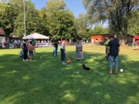 Jury bei der Arbeit