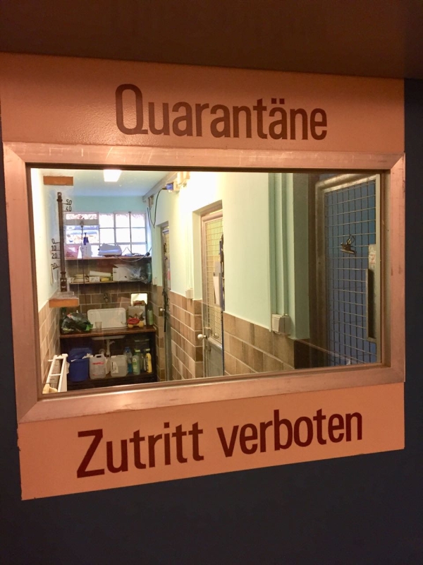 Blick in die Hundequarantne