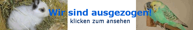 Wir sind ausgezogen