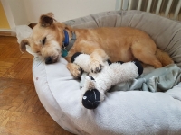Benny