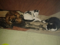 Beppi, Monica, Moritz