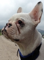 Diego