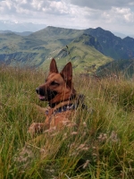 Dina