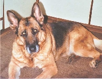 Kira