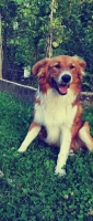 Lola