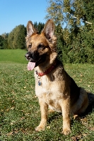 Peggy