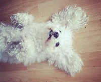 Sammy