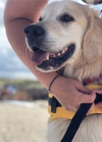 Taco